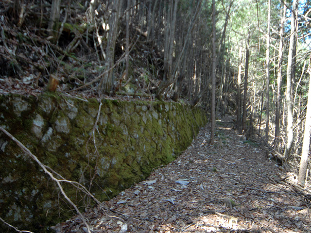 �������X�ѓS���u�w���W1�[�ԓ������v