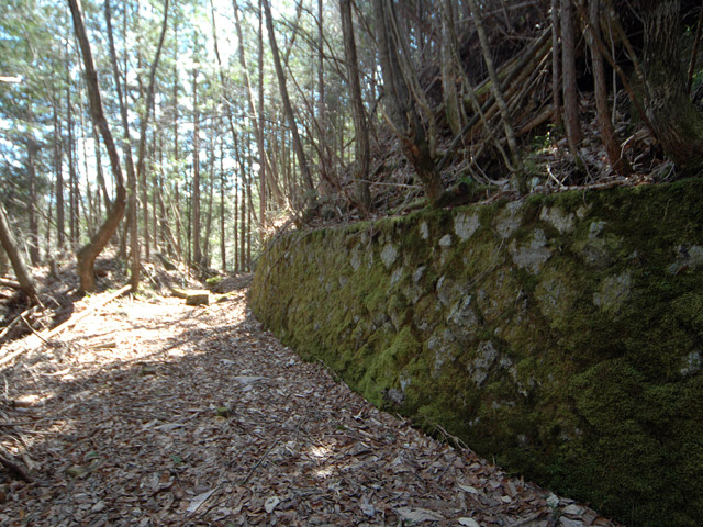 �������X�ѓS���u�w���W1�[�ԓ������v