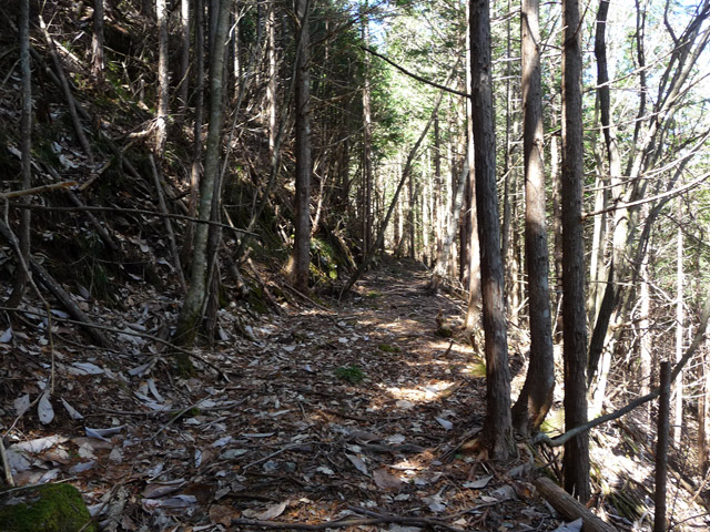 �������X�ѓS���u�w���W1�[�ԓ������v