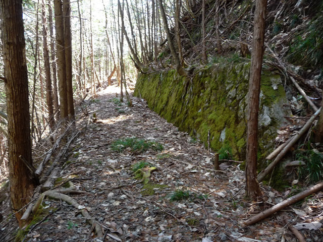 �������X�ѓS���u�w���W1�[�ԓ������v