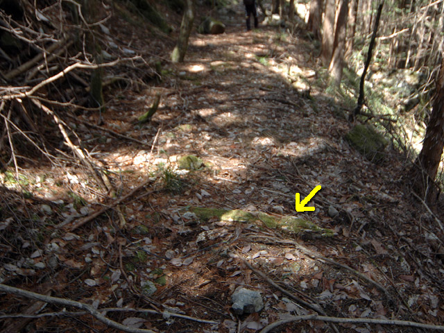 �������X�ѓS���u�w���W1�[�ԓ������v