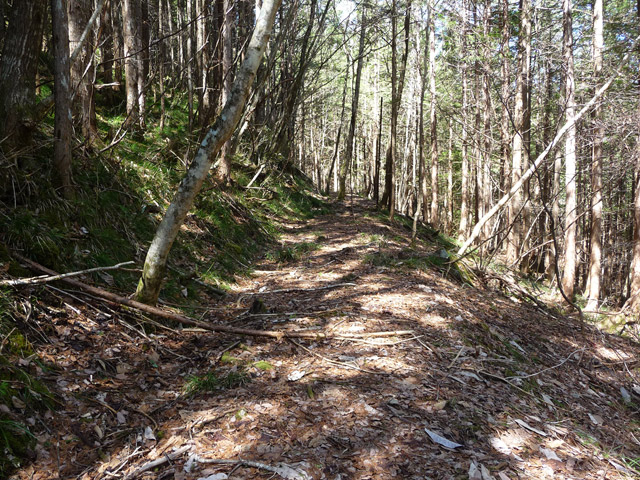 �������X�ѓS���u�w���W1�[�ԓ������v