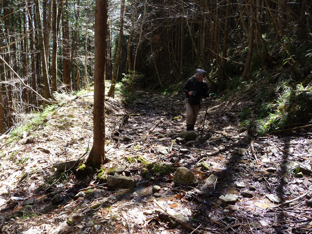 �������X�ѓS���u�w���W1�[�ԓ������v