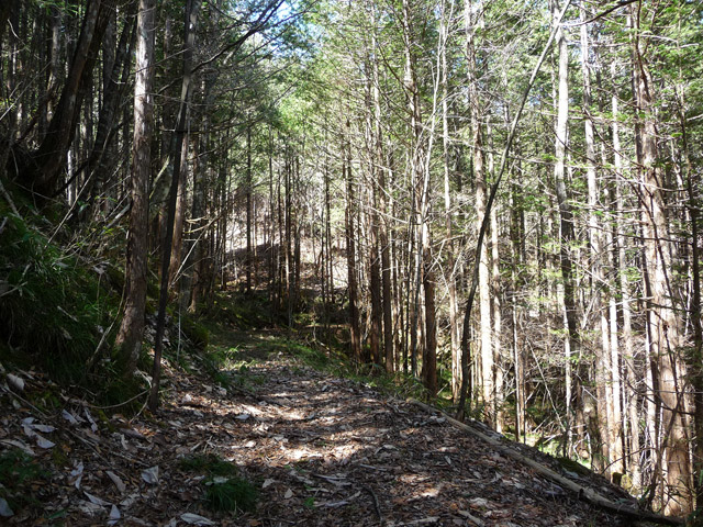 �������X�ѓS���u�w���W1�[�ԓ������v