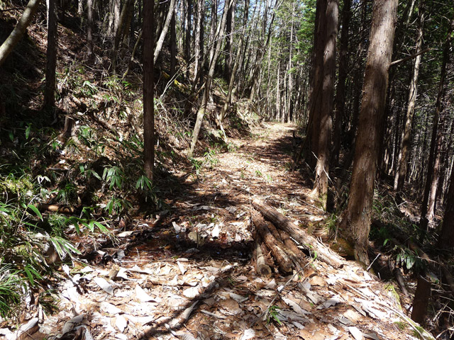 �������X�ѓS���u�w���W1�[�ԓ������v