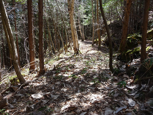 �������X�ѓS���u�w���W1�[�ԓ������v