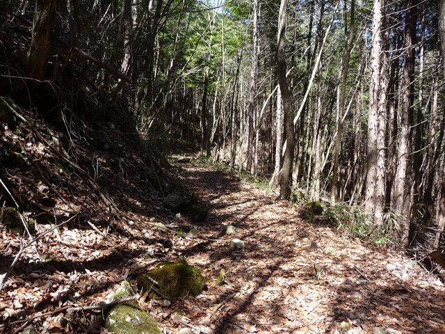 �������X�ѓS���u�w���W1�[�ԓ������v