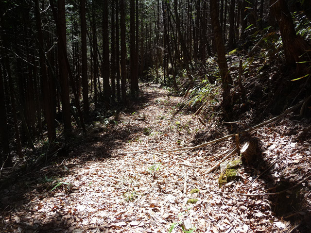 �������X�ѓS���u�w���W1�[�ԓ������v