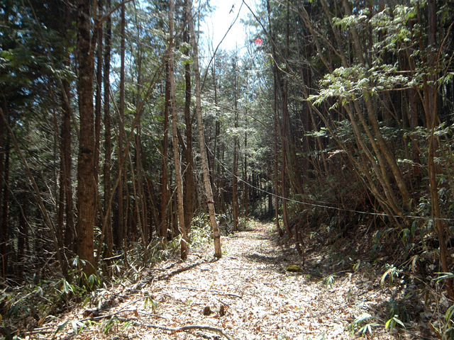 �������X�ѓS���u�w���W1�[�ԓ������v