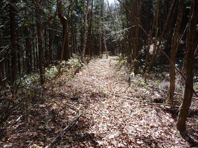 �������X�ѓS��,�w���W2,�p����