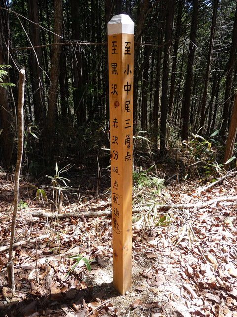 �������X�ѓS��,�w���W2,�p����