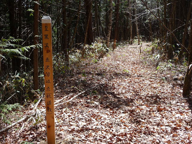 �������X�ѓS��,�w���W2,�p����