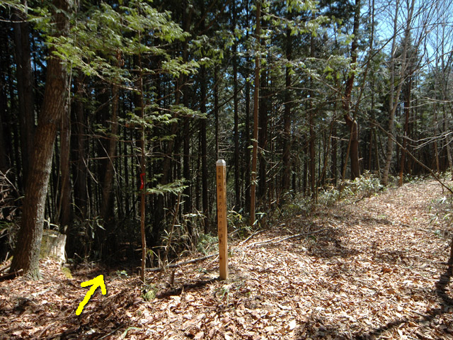 �������X�ѓS��,�w���W2,�p����