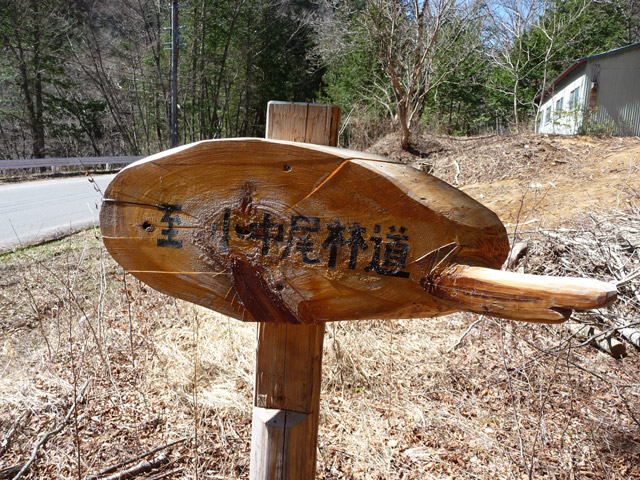 �������X�ѓS��,�w���W2,�p����