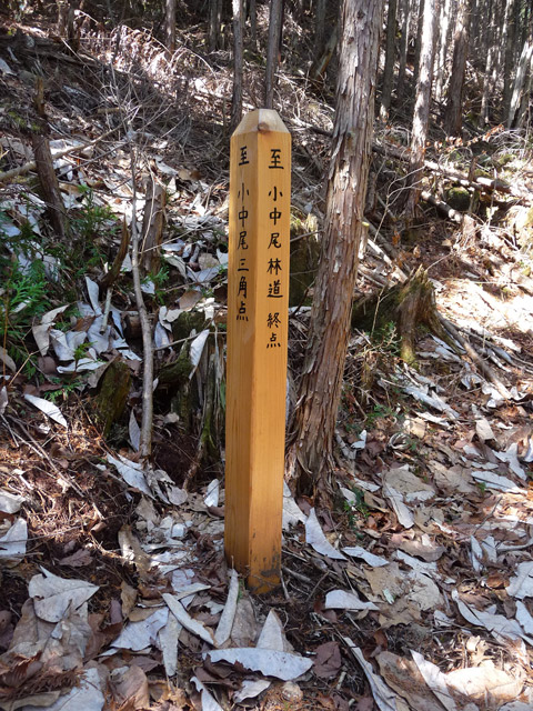 �������X�ѓS��,�w���W2,�p����