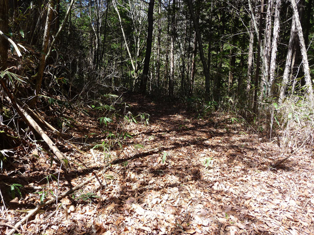 �������X�ѓS���p���Ձu�w���W2�[�ԓ������v