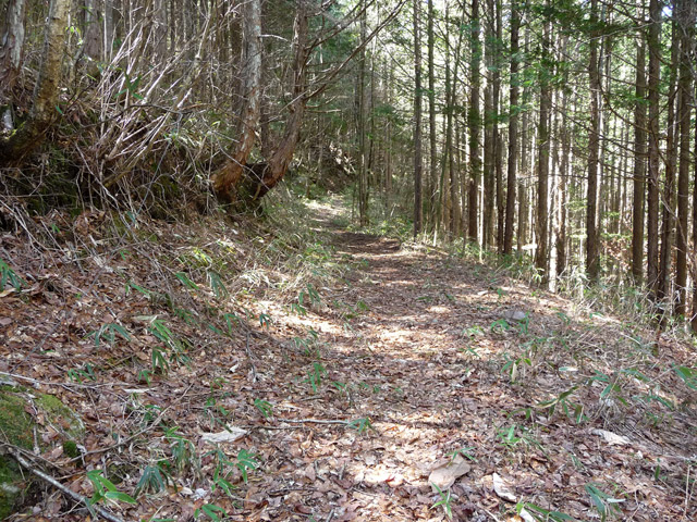 �������X�ѓS���p���Ձu�w���W2�[�ԓ������v