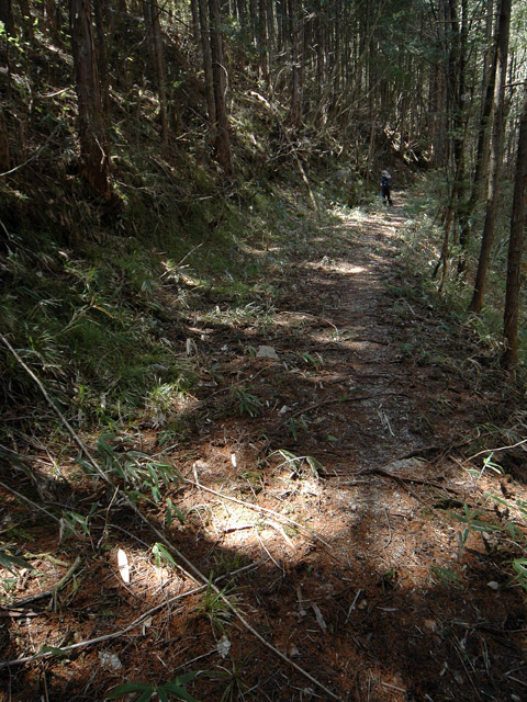 �������X�ѓS���p���Ձu�w���W2�[�ԓ������v