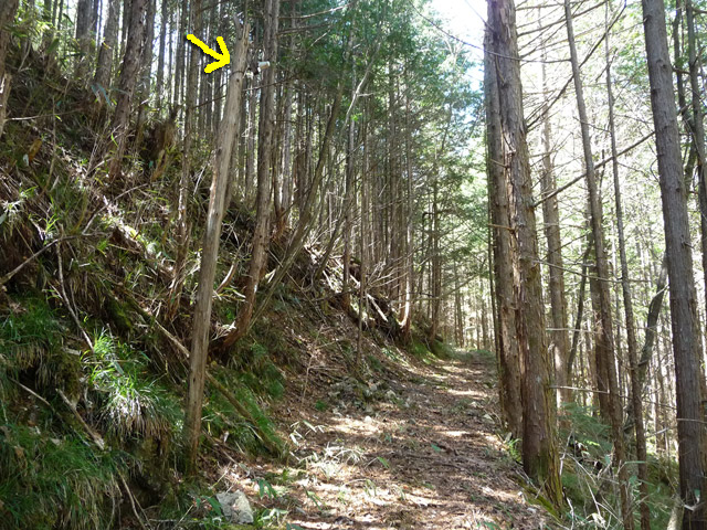 �������X�ѓS���p���Ձu�w���W2�[�ԓ������v