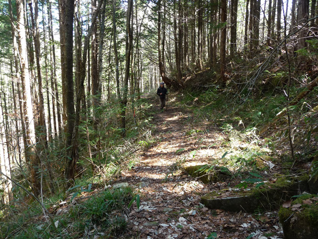 �������X�ѓS���p���Ձu�w���W2�[�ԓ������v