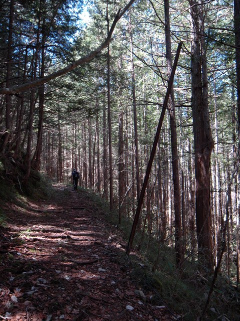 �������X�ѓS���p���Ձu�w���W2�[�ԓ������v