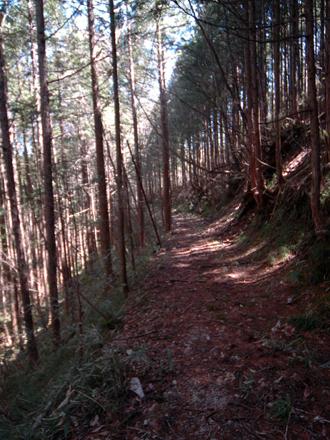 �������X�ѓS���p���Ձu�w���W2�[�ԓ������v