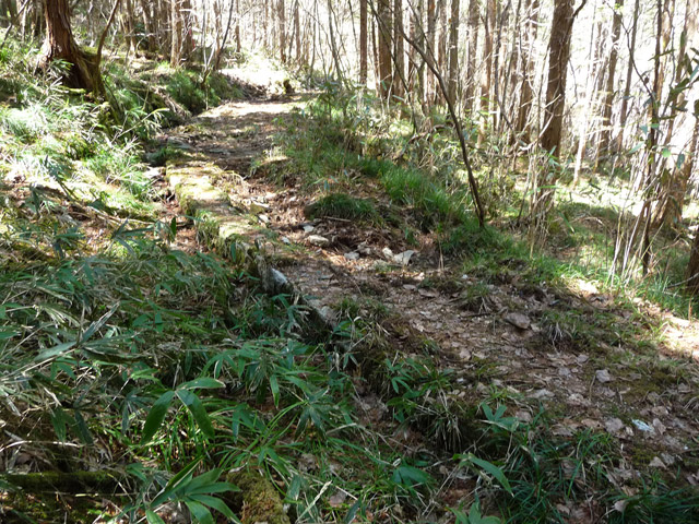 �������X�ѓS���p���Ձu�w���W2�[�ԓ������v