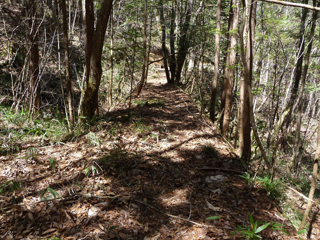 �������X�ѓS���p���Ձu�w���W2�[�ԓ������v