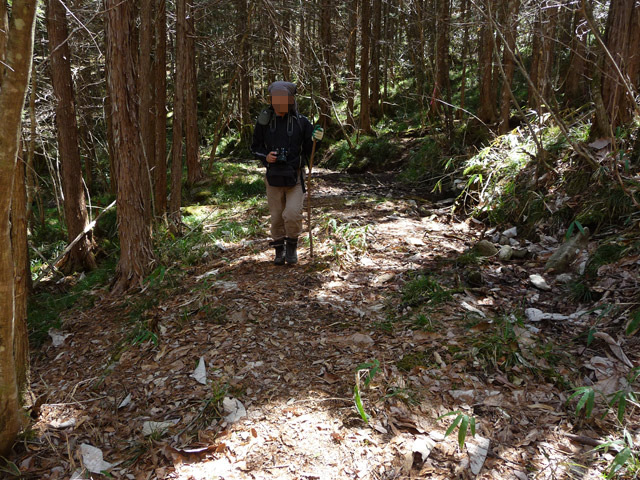 �������X�ѓS���p���Ձu�w���W2�[�ԓ������v