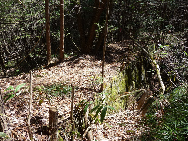 �������X�ѓS���p���Ձu�w���W2�[�ԓ������v