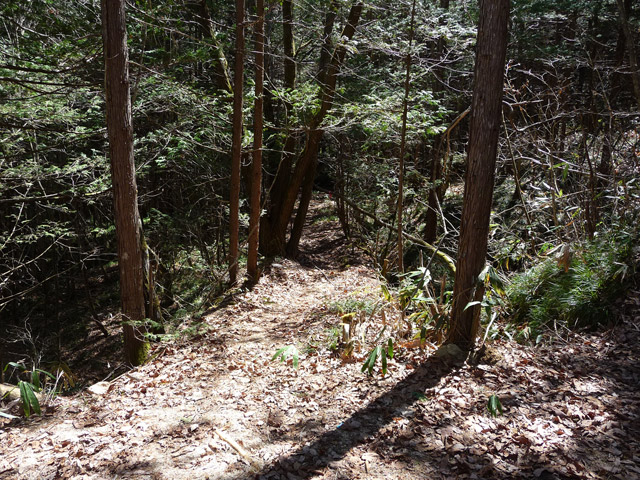 �������X�ѓS���p����,�ԓ�����