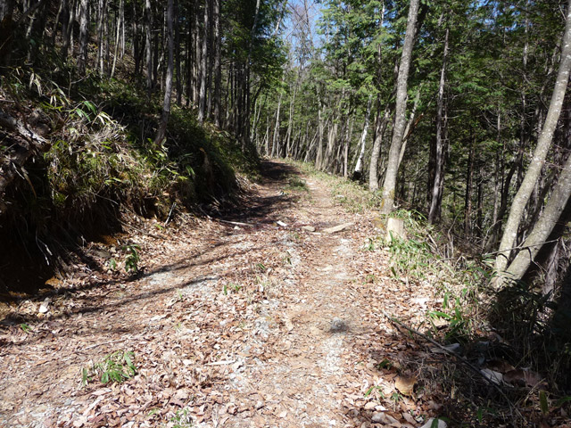 �������X�ѓS��,�ѓS,�p����,�ؑ]�X,�㏼