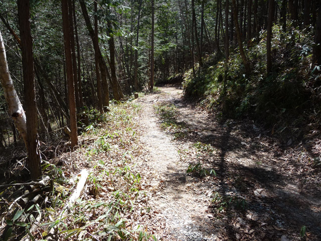 �������X�ѓS��,�ѓS,�p����,�ؑ]�X,�㏼