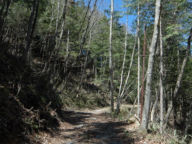 �������X�ѓS��,�ѓS,�p����,�ؑ]�X,�ʐM��