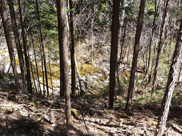 �������X�ѓS��,�ѓS,�p����,�ؑ]�X,��������