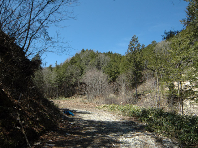 �������X�ѓS��,�ѓS,�p����,�ؑ]�X,�I���K�J�[�u