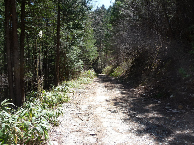 �����X�ѓS��,�ѓS,�p����,�ؑ]�X,�I���K�J�[�u