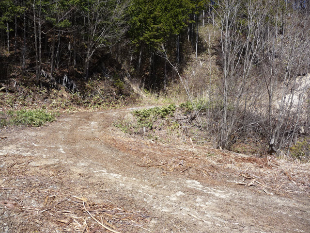 �����X�ѓS��,�ѓS,�p����,�ؑ]�X,�I���K�J�[�u