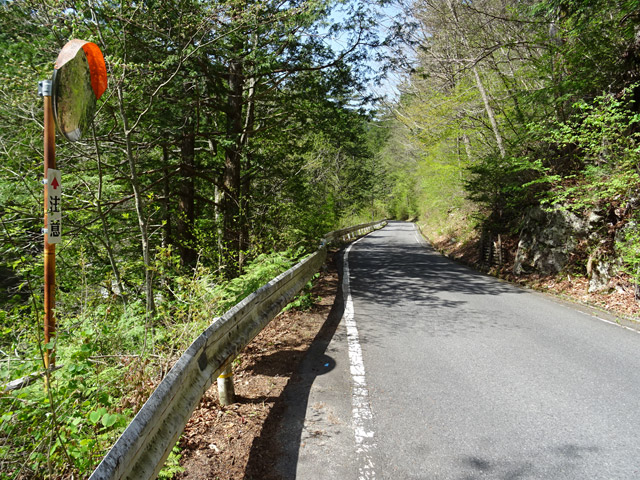 ����X�ѓS�������,�ѓS,�p����,����������,�J�[�u�~���[,�i���[�O��