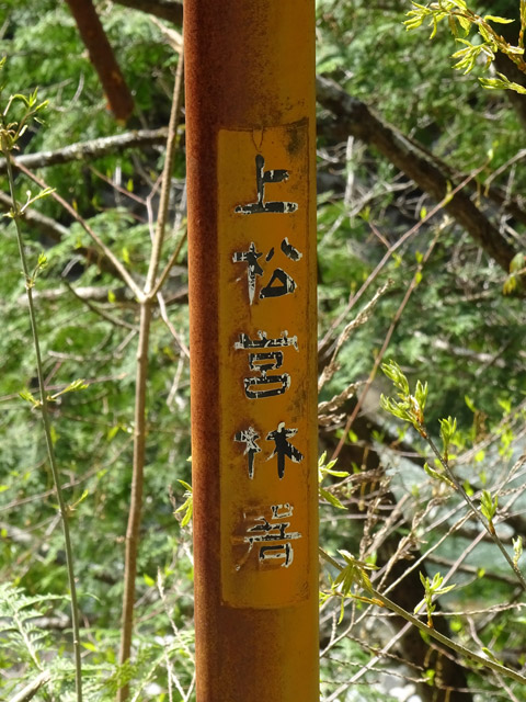 ����X�ѓS�������,�ѓS,�p����,�㏼�c�я�,�J�[�u�~���[,�i���[�O��