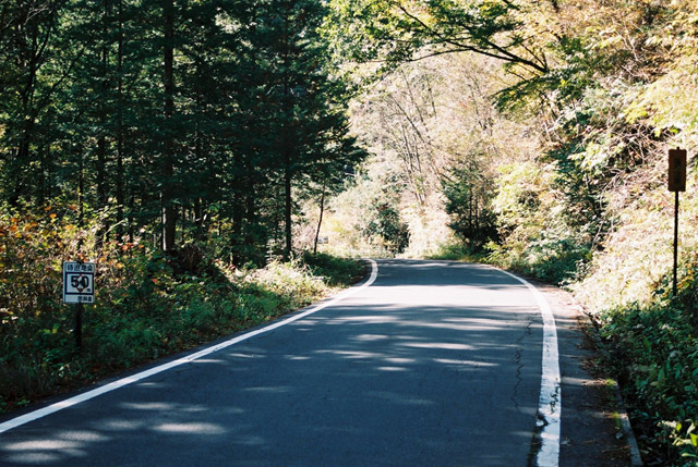 ����X�ѓS�������,�ѓS,�p����,�㏼�c�я�,�ԓ���,�i���[�O��