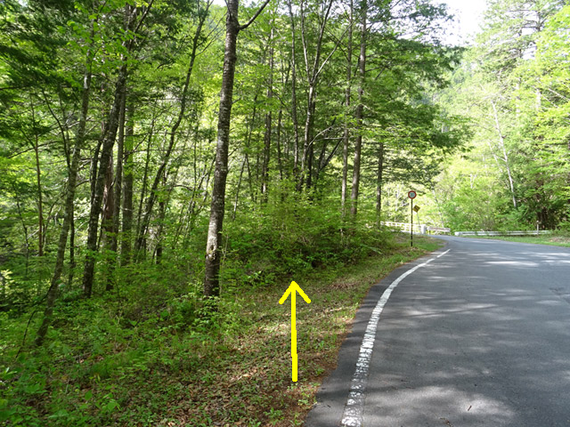 ����X�ѓS�������,�ѓS,�p����,�O����,�ʒu,�㏼�^�A�c�я�