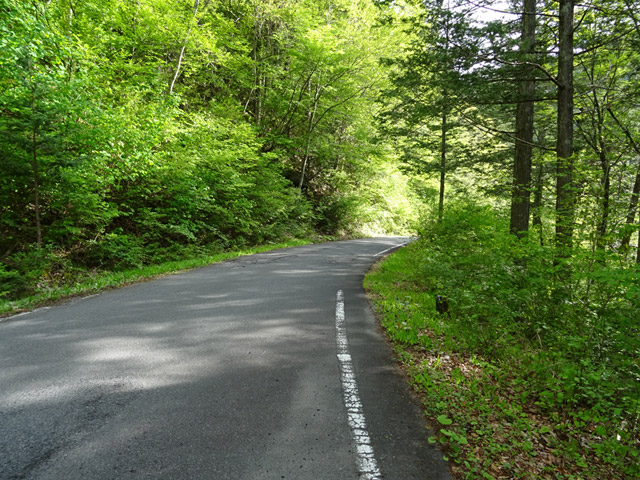 ����X�ѓS�������,�ѓS,�p����,�O����,�ԓ���,�㏼�^�A�c�я�