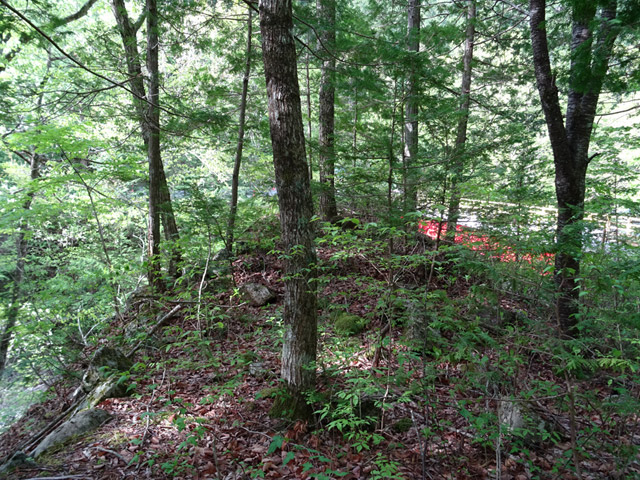 ����X�ѓS�������,�ѓS,�p����,�i���[�O����,����,�㏼�^�A�c�я�