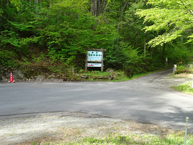 ����X�ѓS�������,�ѓS,�p����,�ԑ򎩑R�x�{�ъŔ�,�؍މ^���O����,�㏼�^�A�c�я�