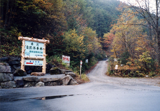 ����X�ѓS�������,�ѓS,�p����,����,�؍މ^���O����,�㏼�^�A�c�я�