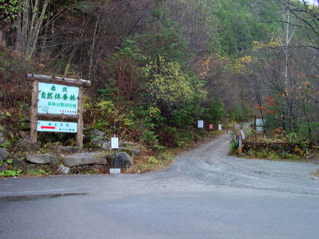 ����X�ѓS�������,�ѓS,�p����,��r�ʐ^,�؍މ^���O����,�㏼�^�A�c�я�