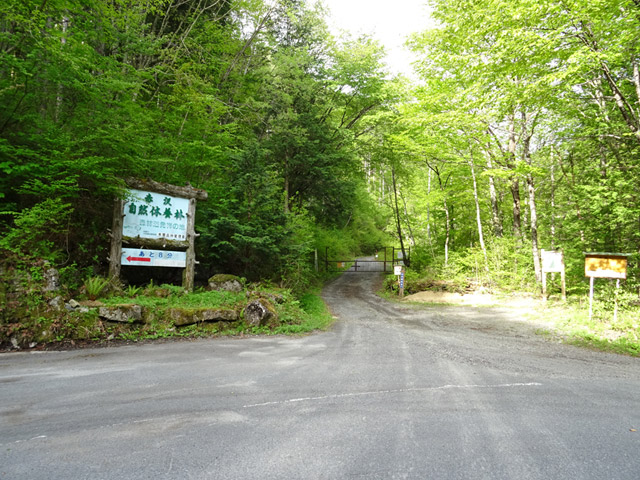 ����X�ѓS�������,�ѓS,�p����,�r�t�H�[�A�t�^�[,�؍މ^���O����,�㏼�^�A�c�я�