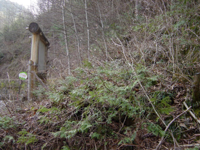 ����X�ѓS�������,�ѓS,�p����,�O����,����,�H��