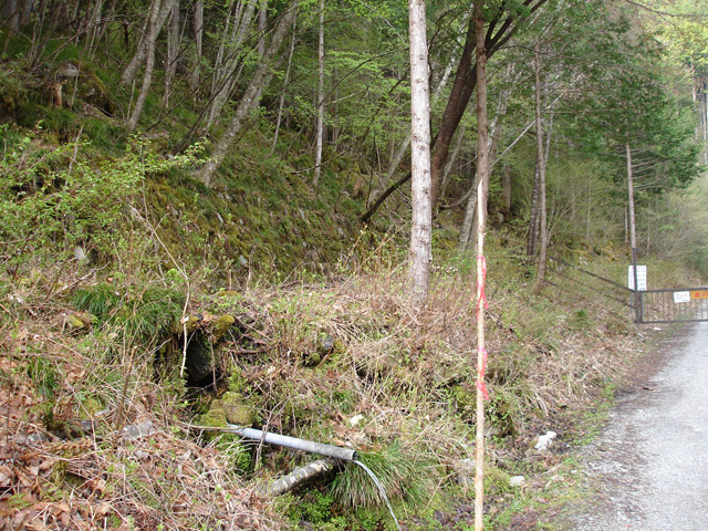 ����X�ѓS�������,�ѓS,�p����,�O����,����,�J��